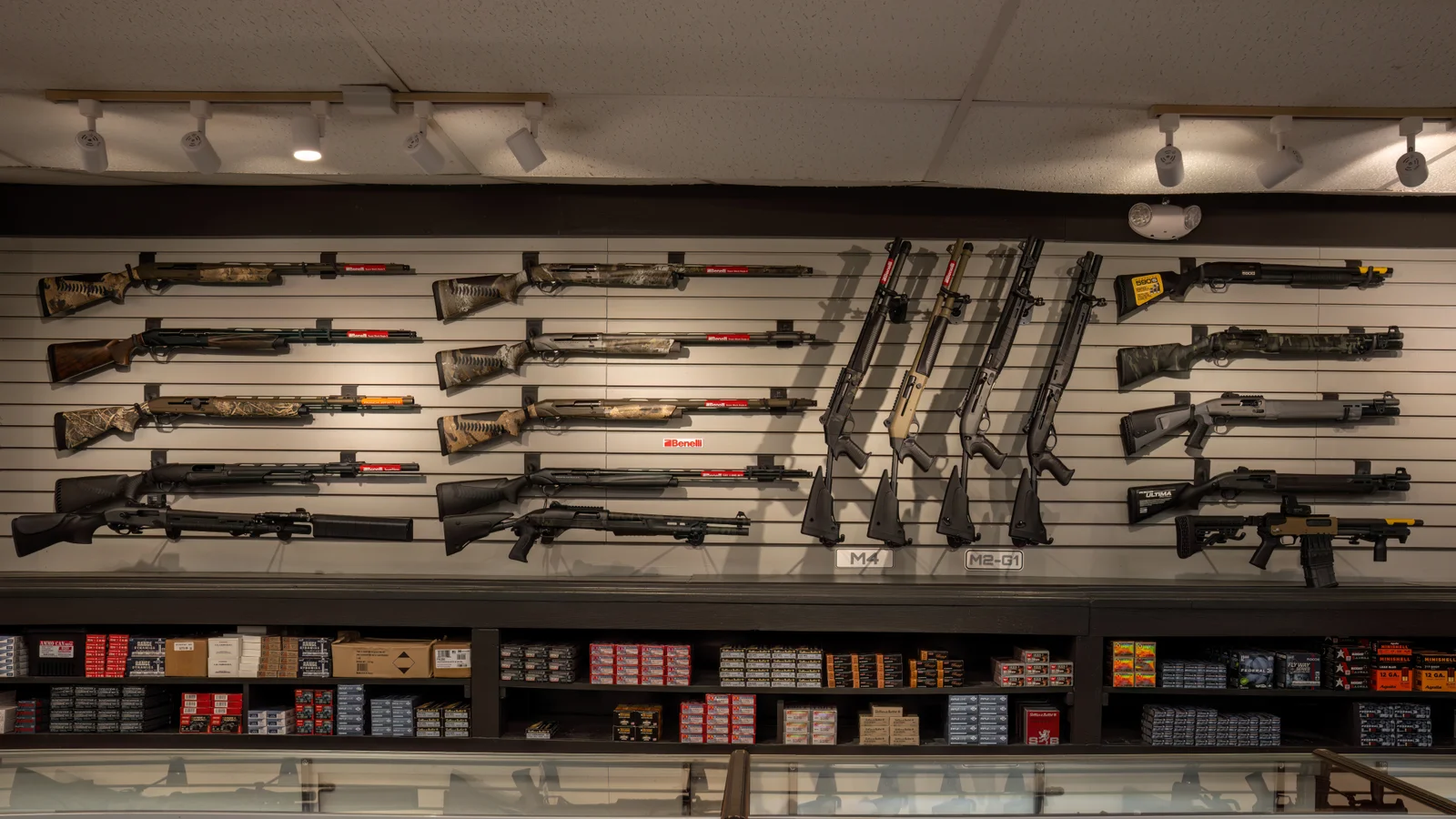 Shotguns on a slatwall above shelves of shotgun shells and ammunition boxes